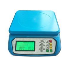 30KG / 1G Precision Digital Mini Electronic Price Computing Scale