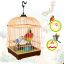 Beautiful Birds Induction Electric Chirping Toy Voice Control Parrot Cage Voice Activated